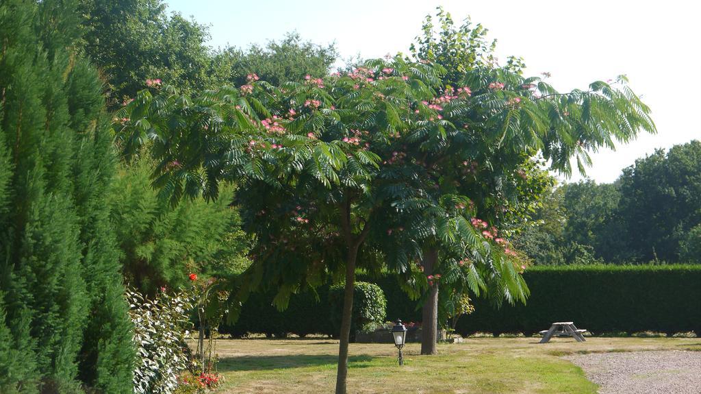 Gite Les Sageais Baguer-Morvan Exterior foto